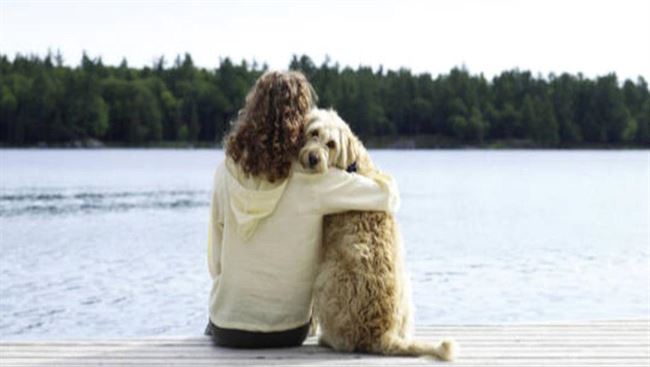 دراسة تؤكد قدرة الكلاب على تمييز رائحة المرهقين والمتوترين