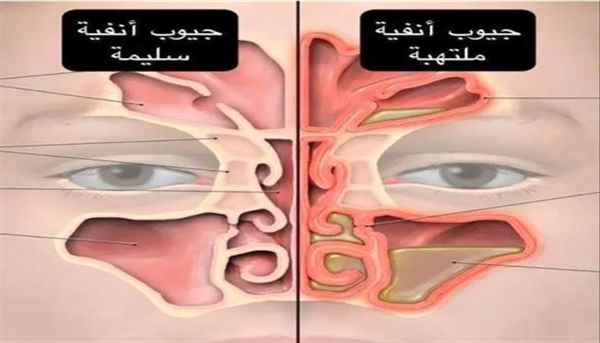 محلية - قرار جديد لمحافظ حضرموت