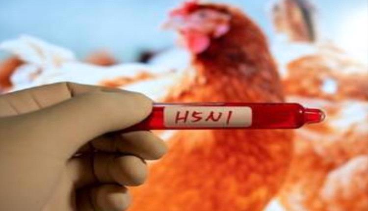 دولة أوروبية تبلغ عن تفشي إنفلونزا الطيور 