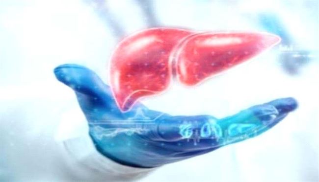 الكبد الدهنية.. السمنة والسكري من أبرز الأسباب