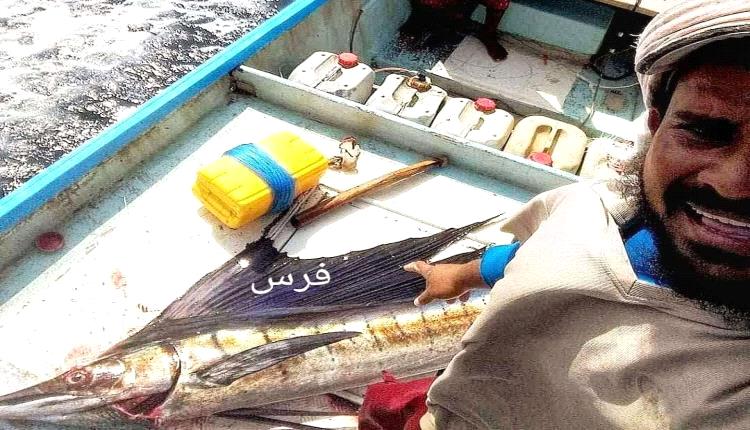 بالصور..صياد عدني يوضح الفرق بين نوعين من الأسماك
