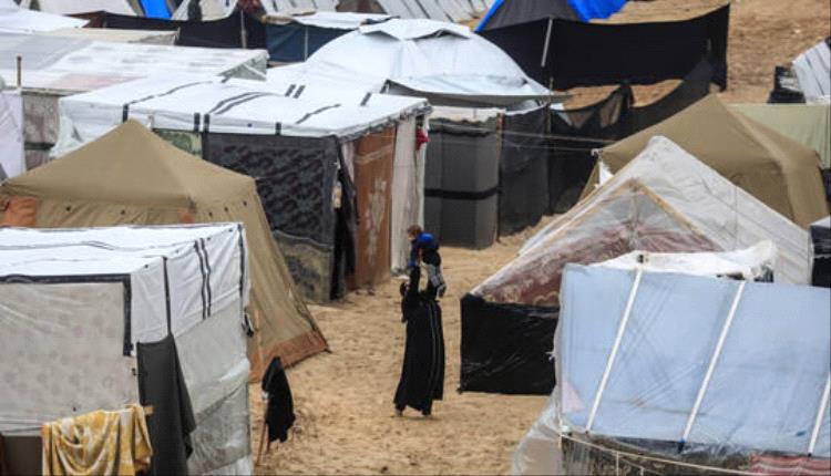 الأونروا : أكثر من 150 ألف امرأة حامل في غزة