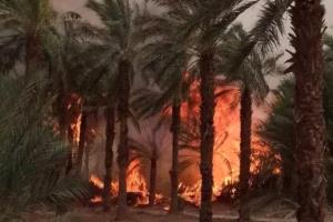 الجزائر تواجه الحرائق مجدّدا.. والسلطات تكافح لاحتوائها