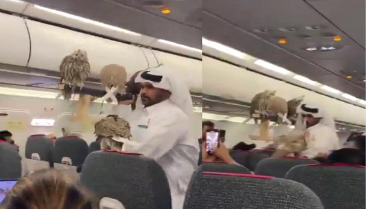 صقور على متن طائرة ....