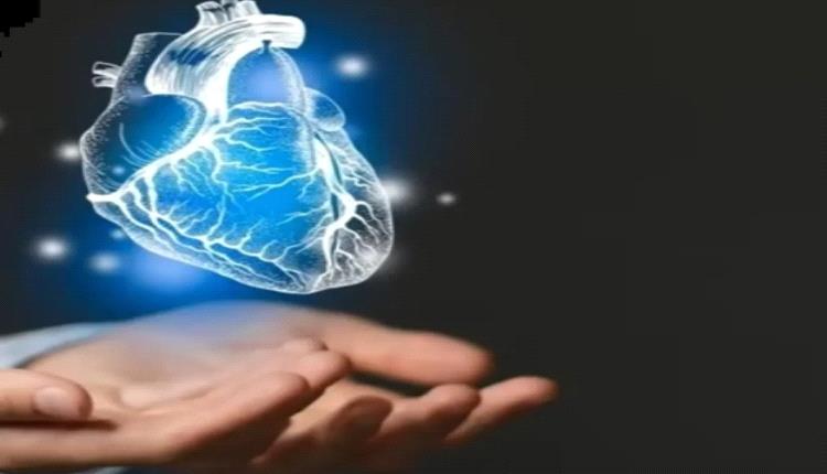 دراسة: دهون البطن تسرّع شيخوخة القلب

