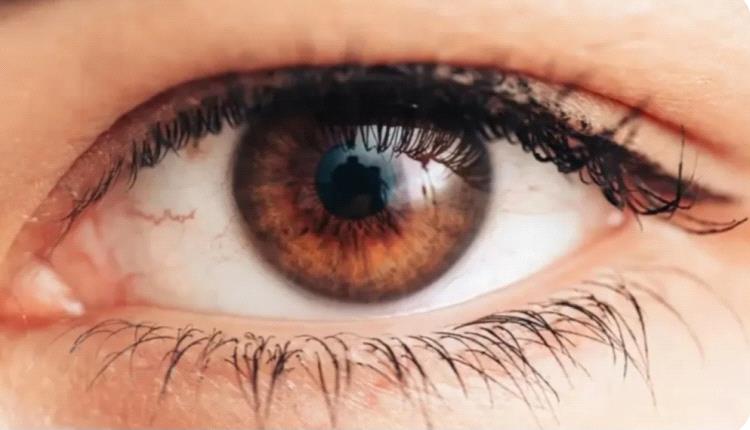 7 نصائح من أطباء العيون لحماية النظر..