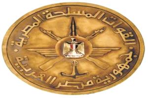 قائد القوات المسلحة المصرية: المقاتل المصري أثبت جدارته لصون مقدرات الوطن