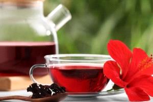 حقائق عن تأثير الكركديه في خفض ضغط الدم
