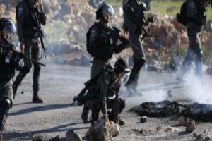 الاحتلال الإسرائيلى يعتقل 20 فلسطينيا من عدة مناطق بالضفة الغربية