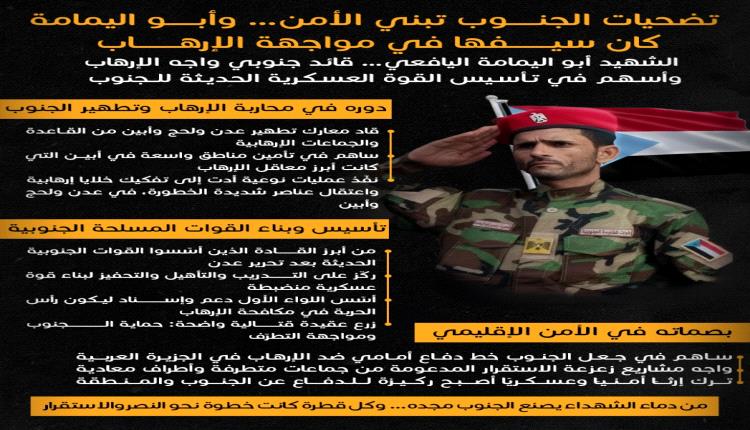 تضحيات الجنوب التي صنعت الانتصار: الشهيد أبو اليمامة نموذجًا لتحوّل الألم إلى قوة