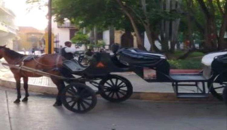 سلطات مدينة كارتاخينا الكولومبية السياحية تحظر عربات الخيول