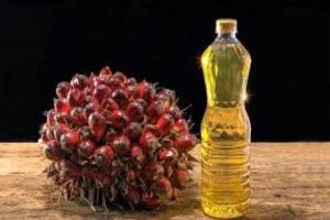 العقود الآجلة لزيت النخيل الماليزي تهبط لأدنى مستوى في 3 أسابيع