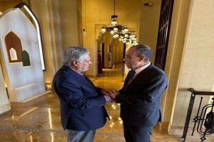 وزير الخارجية المصري يلتقي نظيره الباكستاني في الإمارات