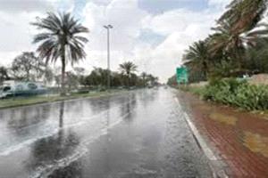 حالة طقس اليوم الخميس 11-12-2025 في مصر