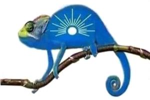 
اعتراف اسرئيل بجمهورية ارض الصومال صفغة في وجوة العرب