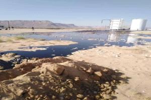 إليهم. ؟! وحدة السلب ونهب ثروات الجنوب