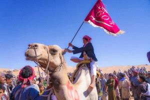 اختتام فعاليات مهرجان بن زايد لسباقات الهجن في شبوة