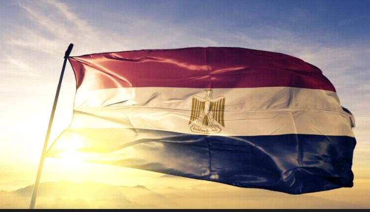 كارثة جديدة.. شاحنة تدهس 7 سيارات في مصر بعد أيام من فاجعة الموفية
