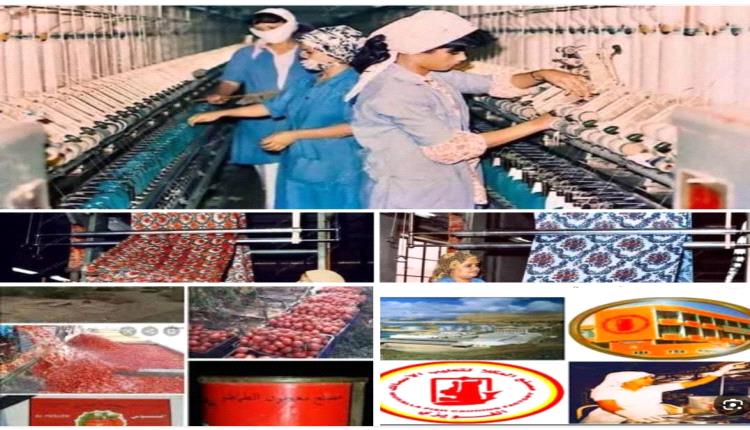الصناعة الجنوبية من الازدهار و إلى التدمير... والعودة حتمًا.. ( صور )