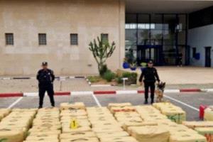 المغرب.. إحباط محاولة تهريب 3 أطنان من مخدر الشيرا في الصويرة
صورة أرشيفية