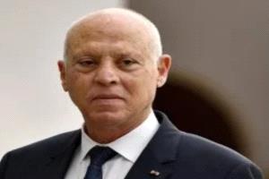 قيس سعيد: نعمل على استرجاع الآثار المنهوبة 