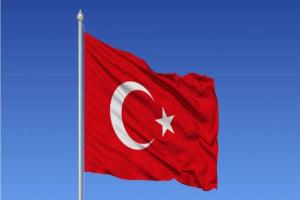 الدفاع التركية: دمشق تطلبت دعما رسميا من أنقرة