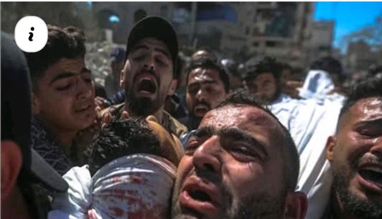 بين غزة الشاهدة… وغزة الشهيدة …