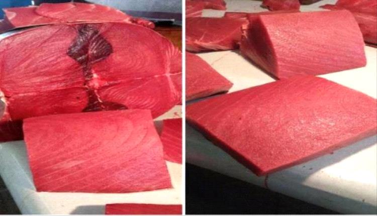 أسعار الأسماك صباح اليوم السبت
