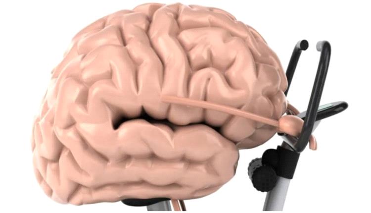 8 تقنيات لزيادة التركيز وتعزيز قوة الدماغ
