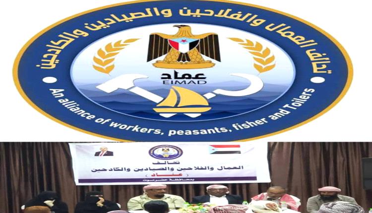 تحالف 