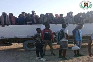 حزام أبين يضبط شاحنتين محملتين بعشرات اللاجئين الأفارقة
