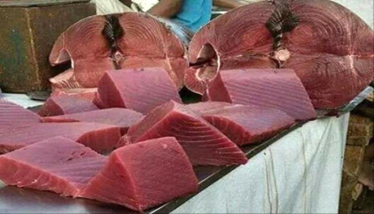 أسعار الأسماك اليوم الخميس فى العاصمة عدن 13 نوفمبر 2025