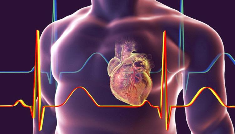 دواء قديم لعلاج النقرس يظهر فعالية جديدة في الوقاية من أمراض القلب