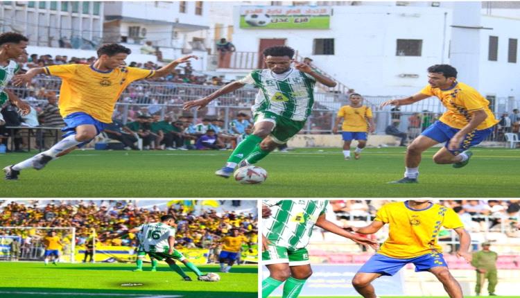 ويستمر أخضر عدن يداعب وجنات الربيع..