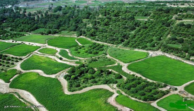 جنة لحج المفقودة.. تحولات المناخ وتبدّل أنظمة الملكية وتراجع الدعم يهدد وادي الحسيني