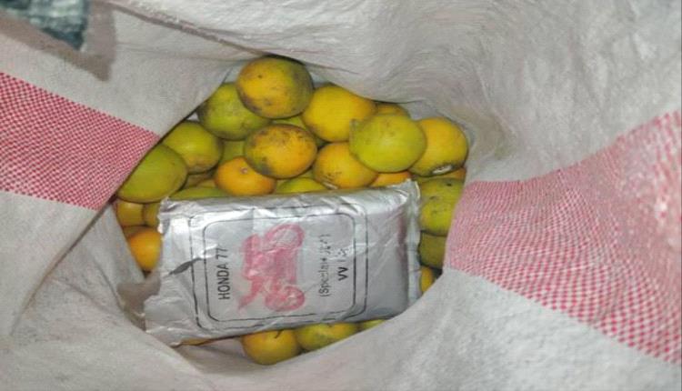 القبض على مروجي مخدرات وضبط كيلو حشيش بساحل حضرموت