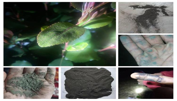 *الرماد البركاني... مخاطر صحية وإجراءات وقائية عاجلة*