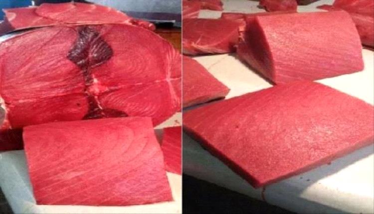 أسعار الأسماك اليوم الخميس فى العاصمة عدن 27 نوفمبر 2025م