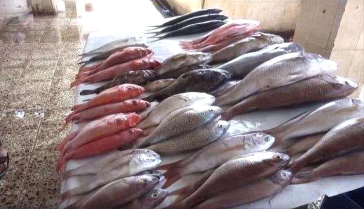 أسعار الأسماك اليوم في العاصمة عدن..