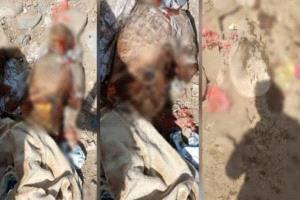 استشهاد امرأة بقصف حوثي مسيّر جنوب الحديدة
تهامة  