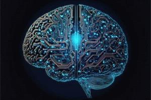 دراسة جديدة تكشف أربع مراحل حاسمة في تطور الدماغ