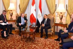 الخارجية المصرية: يجب تثبيت وقف إطلاق النار في غزة