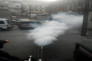 صحة التواهي ينفذ حملة رش ضبابي شاملة لمكافحة الحشرات الناقلة للأمراض
