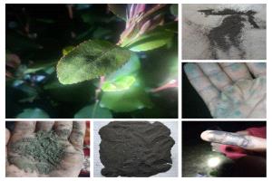 *الرماد البركاني... مخاطر صحية وإجراءات وقائية عاجلة*