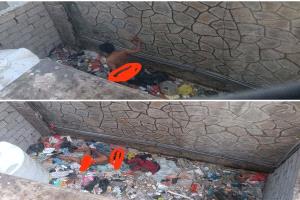 مأساة الإهمال البيئي والإنساني في المعلا..