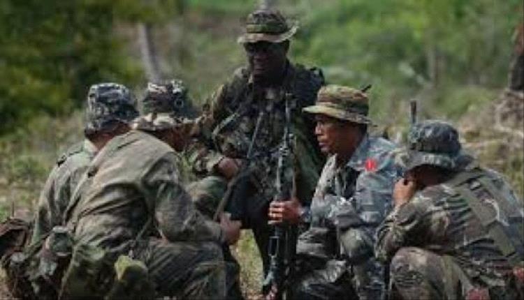 الجيش الإندونيسي: مقتل 14 انفصاليًا من بابوا في مواجهات