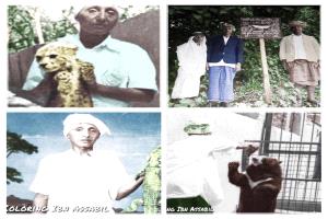 حديقة عدن للحيوانات (بستان عبدالمجيد السلفي)..( صور )