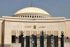برلمانية مصرية تكشف تفاصيل مشروع خطير عارضته يخص صحة المواطنين