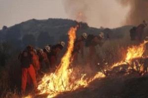 سوريا: فرق الإطفاء تكافح لإخماد حرائق فى الغابات 