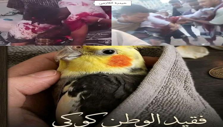 أيُّ زمنٍ هذا الذي تُستثار فيه الدموع لطائر، بينما تُدفن الرجولة مع دماء الأبطال